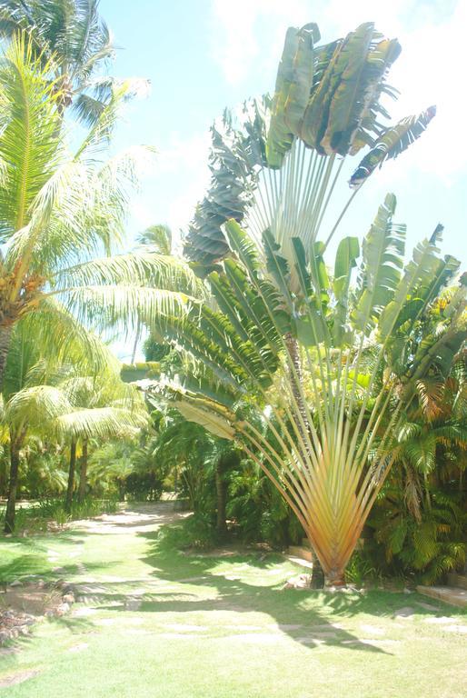 فيلا Casa Girassois Praia de Pipa المظهر الخارجي الصورة
