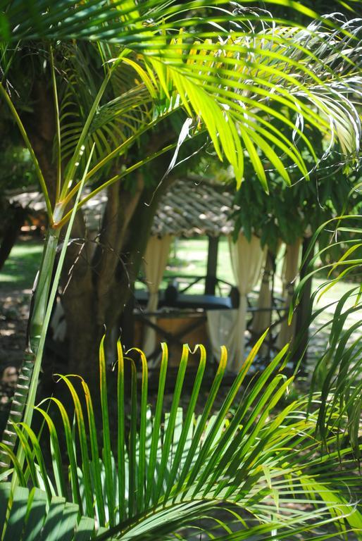 فيلا Casa Girassois Praia de Pipa المظهر الخارجي الصورة